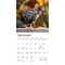 Chickens | 2026 7 x 14 Inch (Hanging) Monthly Mini Wall Calendar
